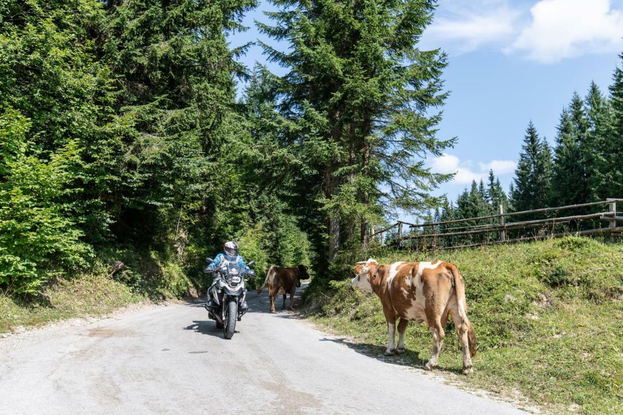 Ferienwohnungen Panorama Harrys Bike Tours Villach Eksteriør billede